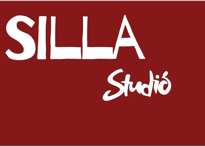 Silla Studiò - Piccolo A Due Passi Dal Vaticano * Roma